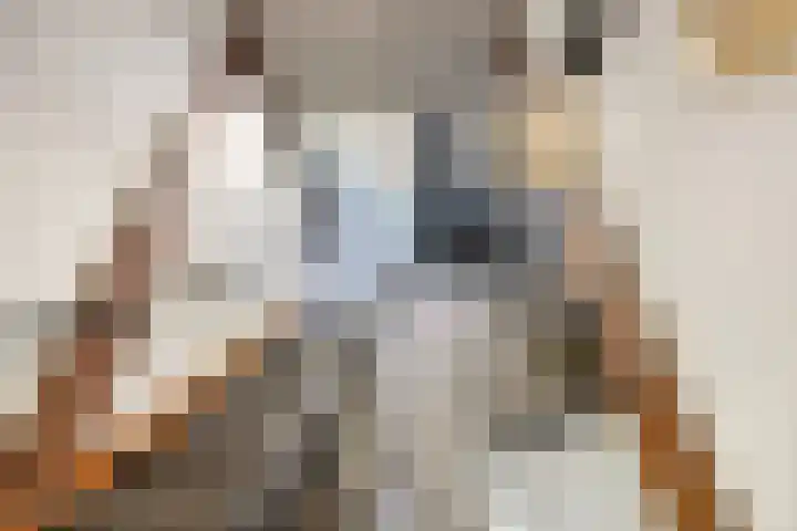 Tweeschaar 28 Bant thumbnail 36