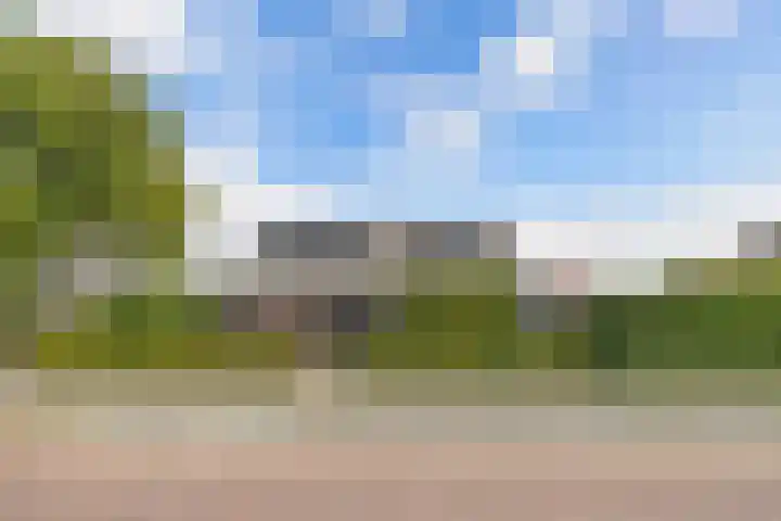 Tweeschaar 28 Bant thumbnail 4
