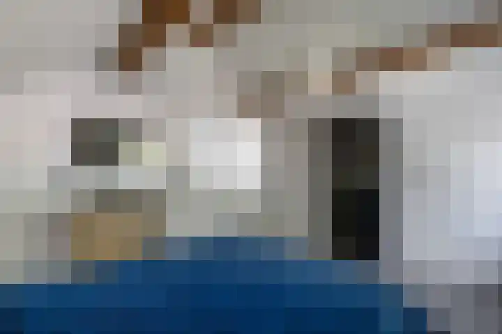 Tweeschaar 28 Bant thumbnail 41