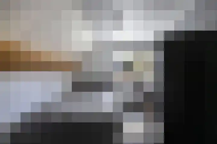 Tweeschaar 28 Bant thumbnail 43
