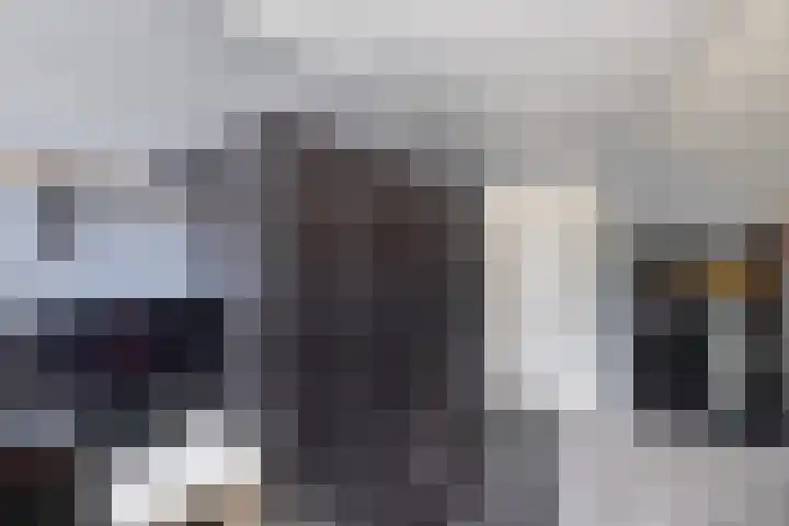Tweeschaar 28 Bant thumbnail 45