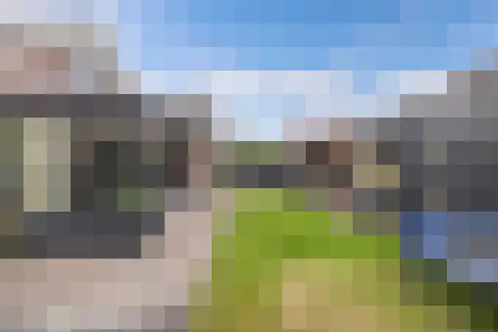 Tweeschaar 28 Bant thumbnail 54