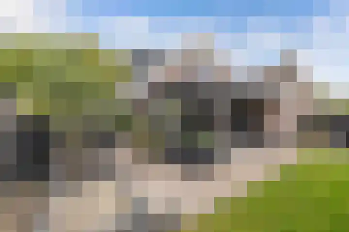 Tweeschaar 28 Bant thumbnail 55