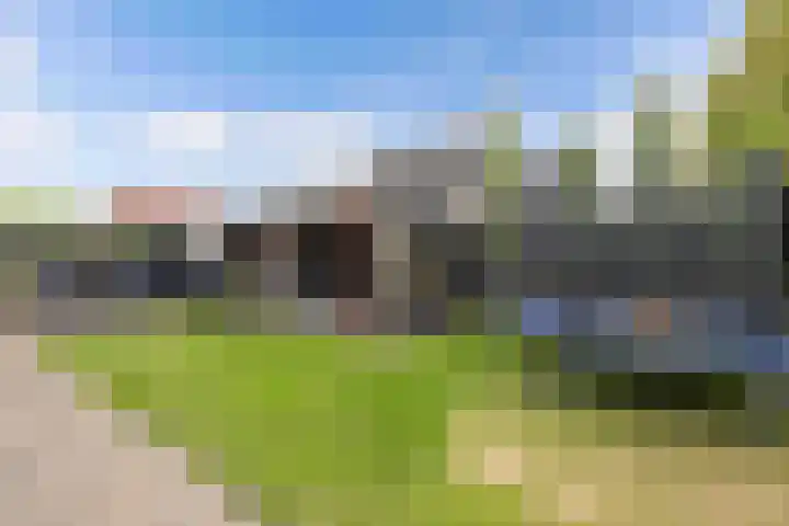 Tweeschaar 28 Bant thumbnail 56