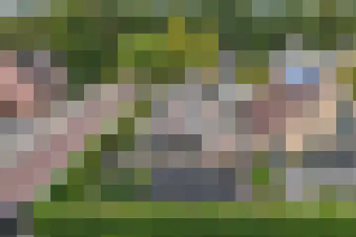 Tweeschaar 28 Bant thumbnail 59