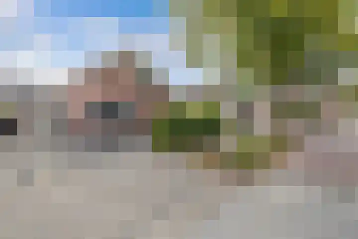 Tweeschaar 28 Bant thumbnail 6