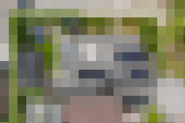 Tweeschaar 28 Bant thumbnail 60