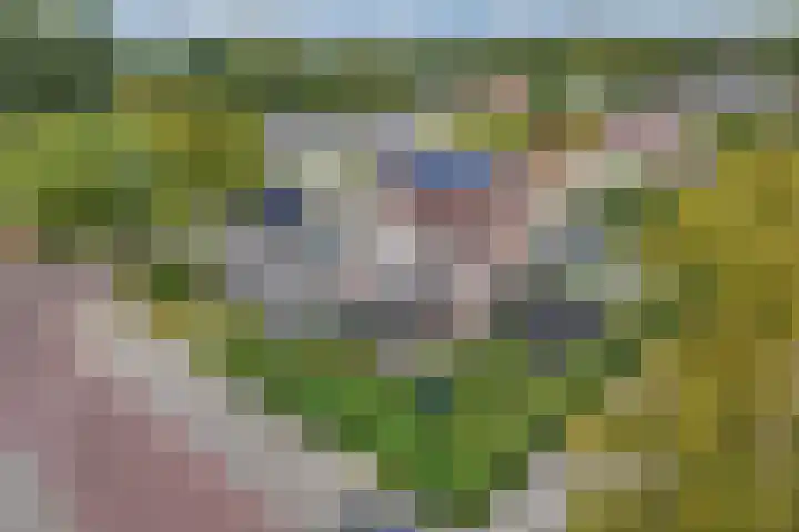 Tweeschaar 28 Bant thumbnail 61