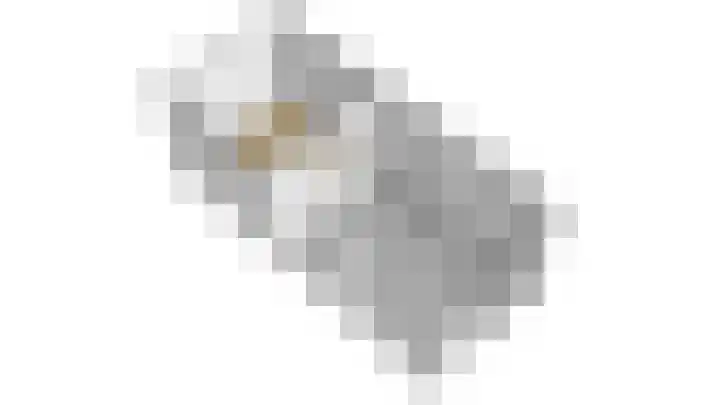 Tweeschaar 28 Bant thumbnail 67