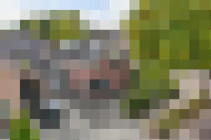 Tweeschaar 28 Bant thumbnail 8