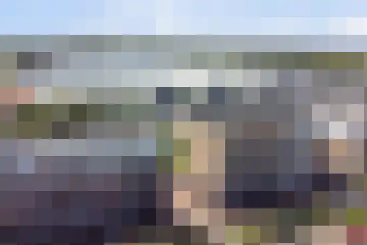 Tweetandschelp 117 Monster thumbnail 22