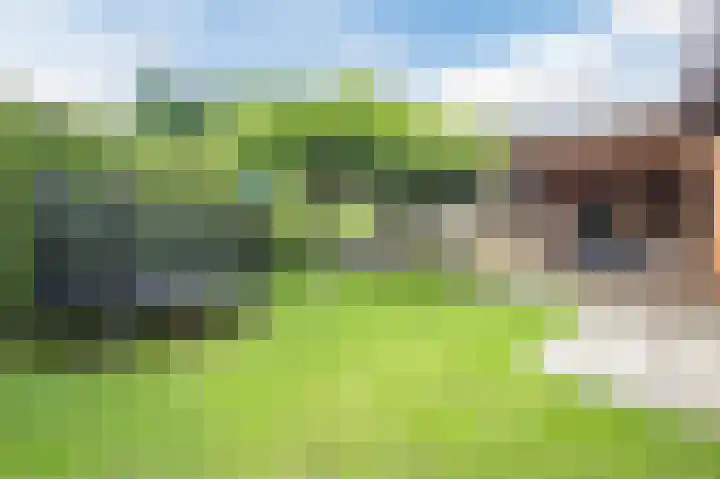 Twente 10 Emmeloord thumbnail 38