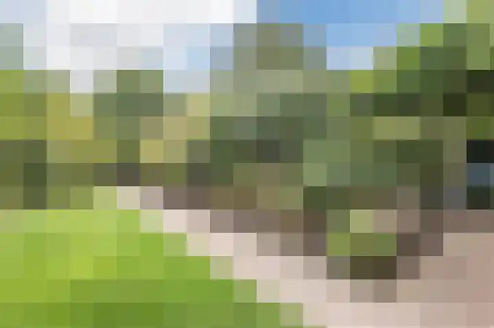 Twente 10 Emmeloord thumbnail 40