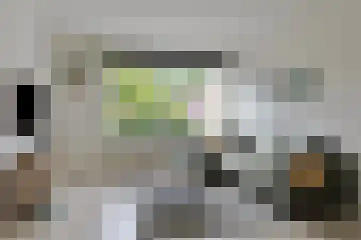 Twenthe 13 Assen thumbnail 11