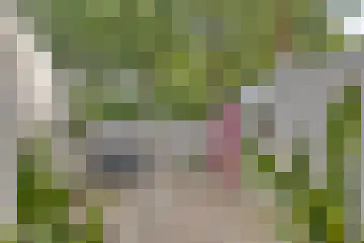 Twenthe 13 Assen thumbnail 14