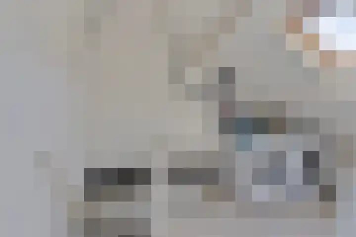 Twenthe 13 Assen thumbnail 31