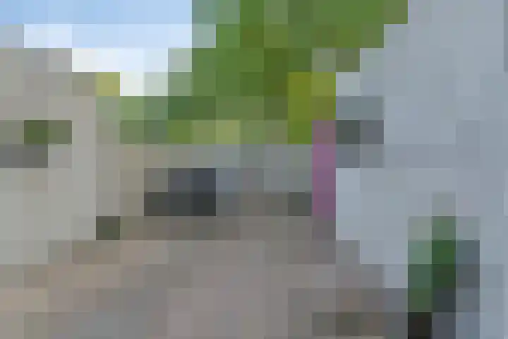 Twenthe 13 Assen thumbnail 4
