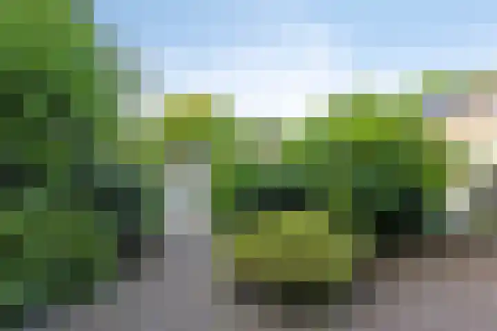 Twenthe 13 Assen thumbnail 43