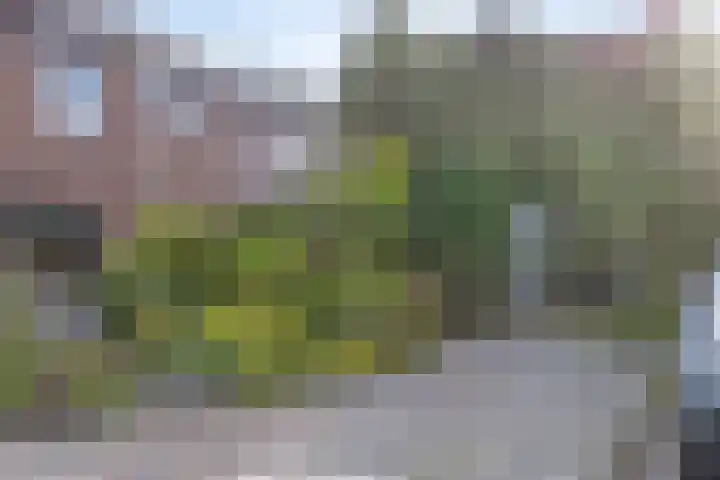Twenthe 13 Assen thumbnail 45