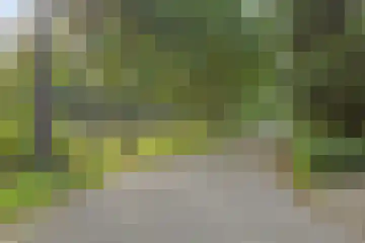 Twenthe 13 Assen thumbnail 48