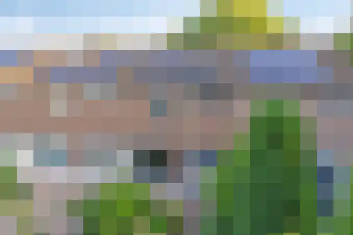 Twenthe 13 Assen thumbnail 5