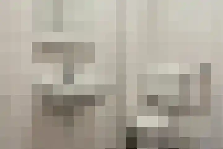 Twickel 17 Almelo thumbnail 11