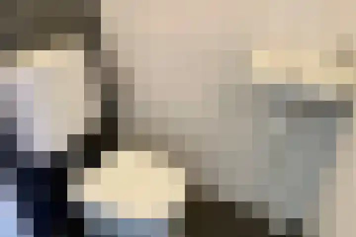 Twickel 17 Almelo thumbnail 7
