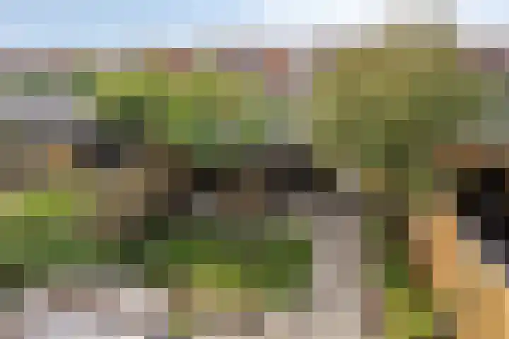 Twickel 25 Zeewolde thumbnail 30