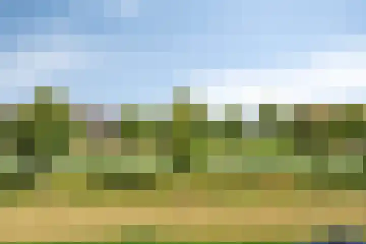 Twickel 25 Zeewolde thumbnail 37