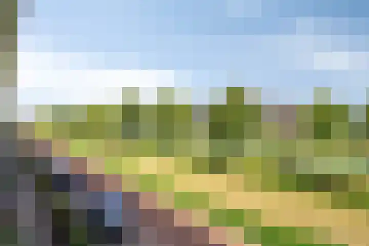 Twickel 25 Zeewolde thumbnail 38