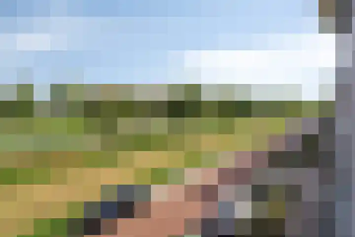 Twickel 25 Zeewolde thumbnail 39