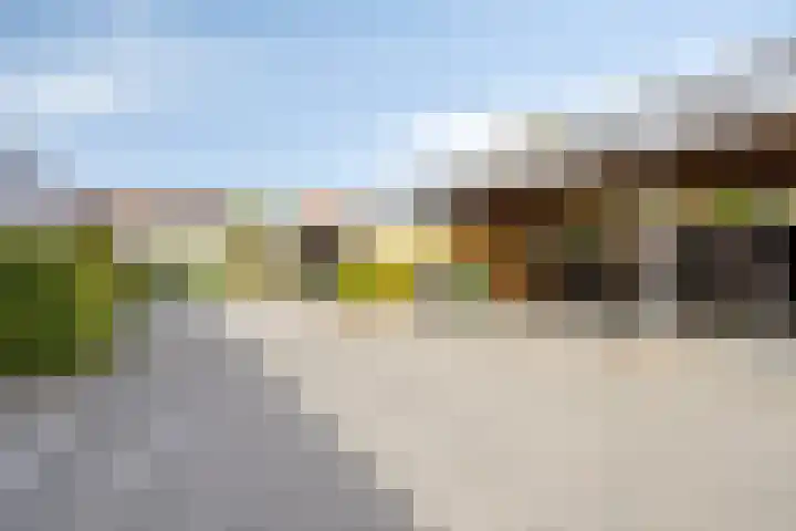 Twickel 25 Zeewolde thumbnail 44