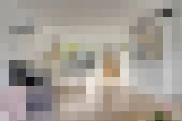 Twickel 25 Zeewolde thumbnail 9