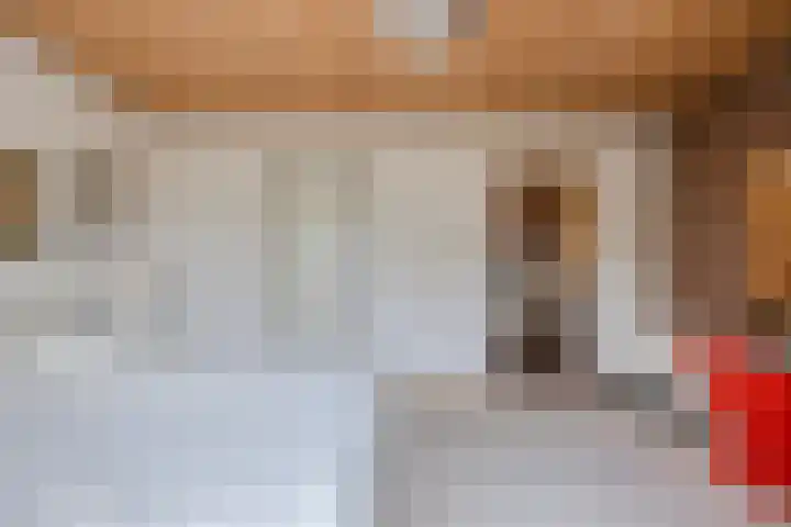 Twickel 32 Eindhoven thumbnail 36