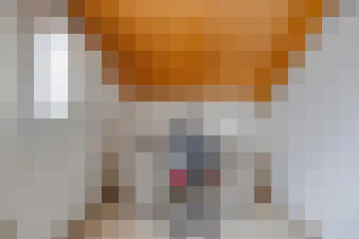 Twickel 32 Eindhoven thumbnail 42