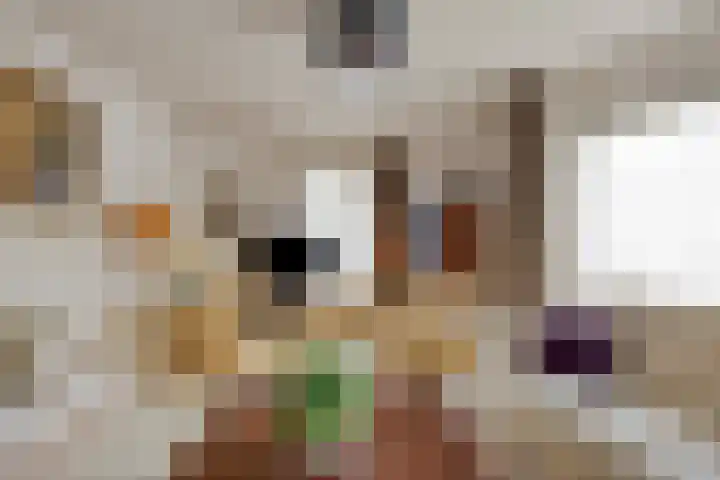 Twickel 32 Eindhoven thumbnail 8