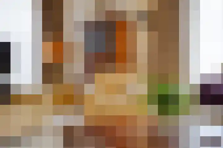 Twickel 32 Eindhoven thumbnail 9