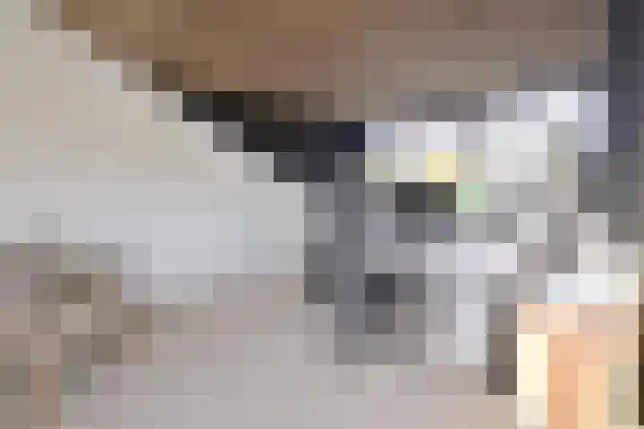 Twickel 7 Huizen thumbnail 12