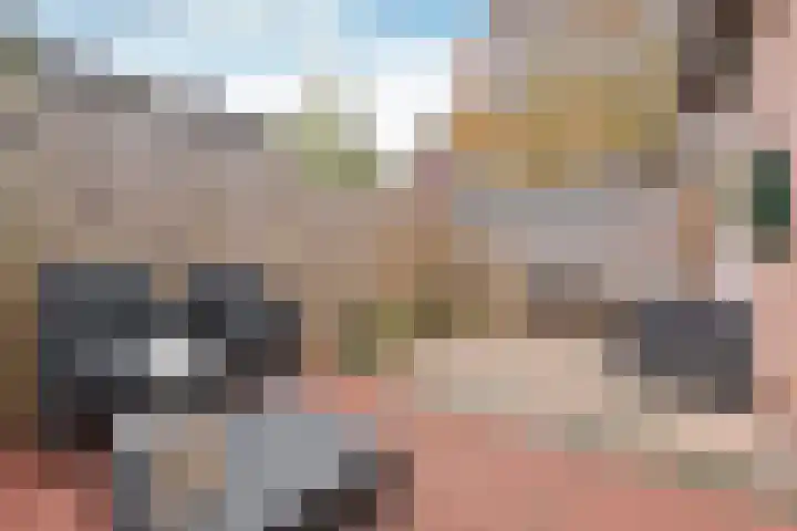 Twickel 7 Huizen thumbnail 13