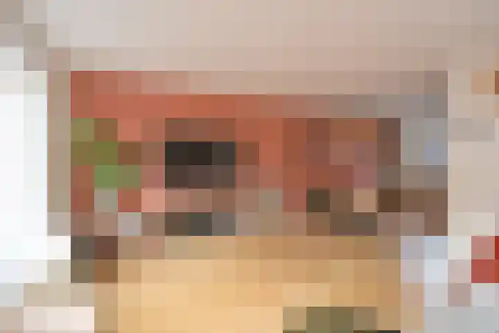 Twickel 7 Huizen thumbnail 4