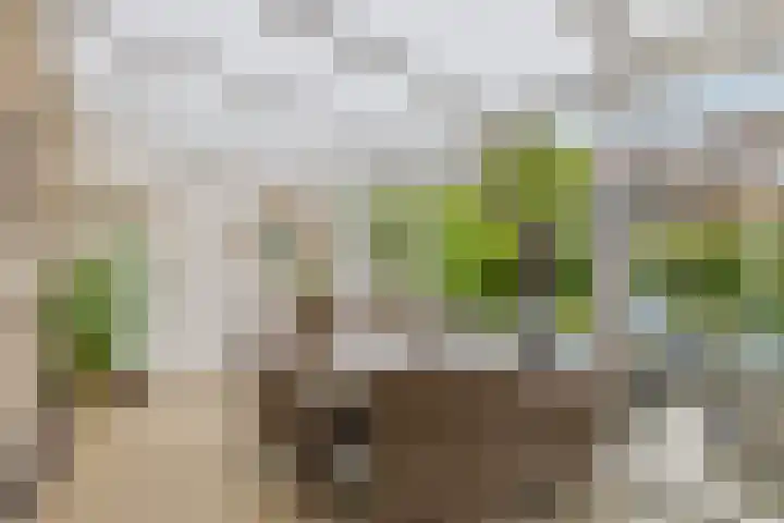 Twijnen 11 Oudewater thumbnail 11