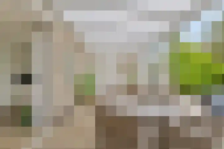 Twijnen 11 Oudewater thumbnail 12