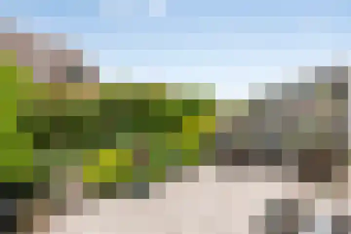 Twijnen 11 Oudewater thumbnail 14