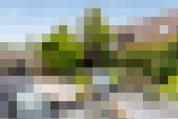 Twijnen 11 Oudewater thumbnail 15