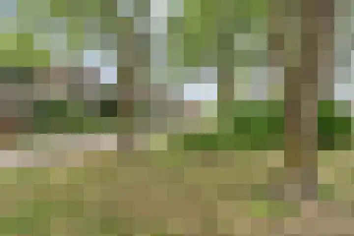 Twijnen 11 Oudewater thumbnail 31