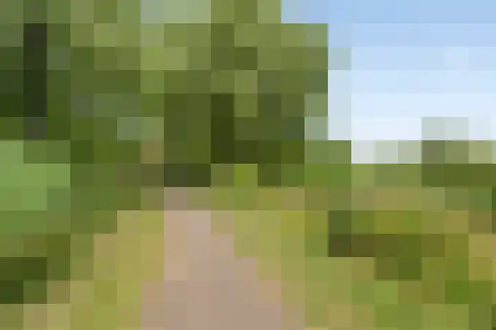 Twijnen 11 Oudewater thumbnail 34