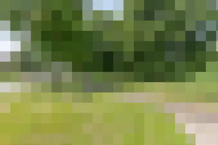 Twijnen 11 Oudewater thumbnail 35