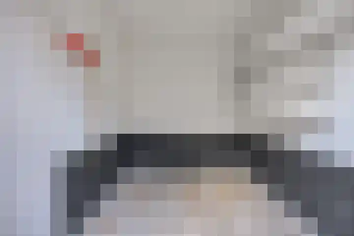 Twijnen 25 Oudewater thumbnail 10