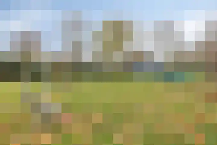 Twijnen 25 Oudewater thumbnail 32