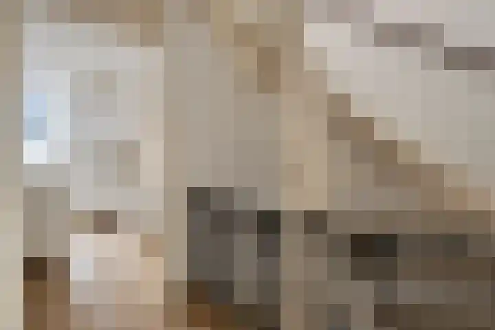 Twijnen 35 Oudewater thumbnail 21